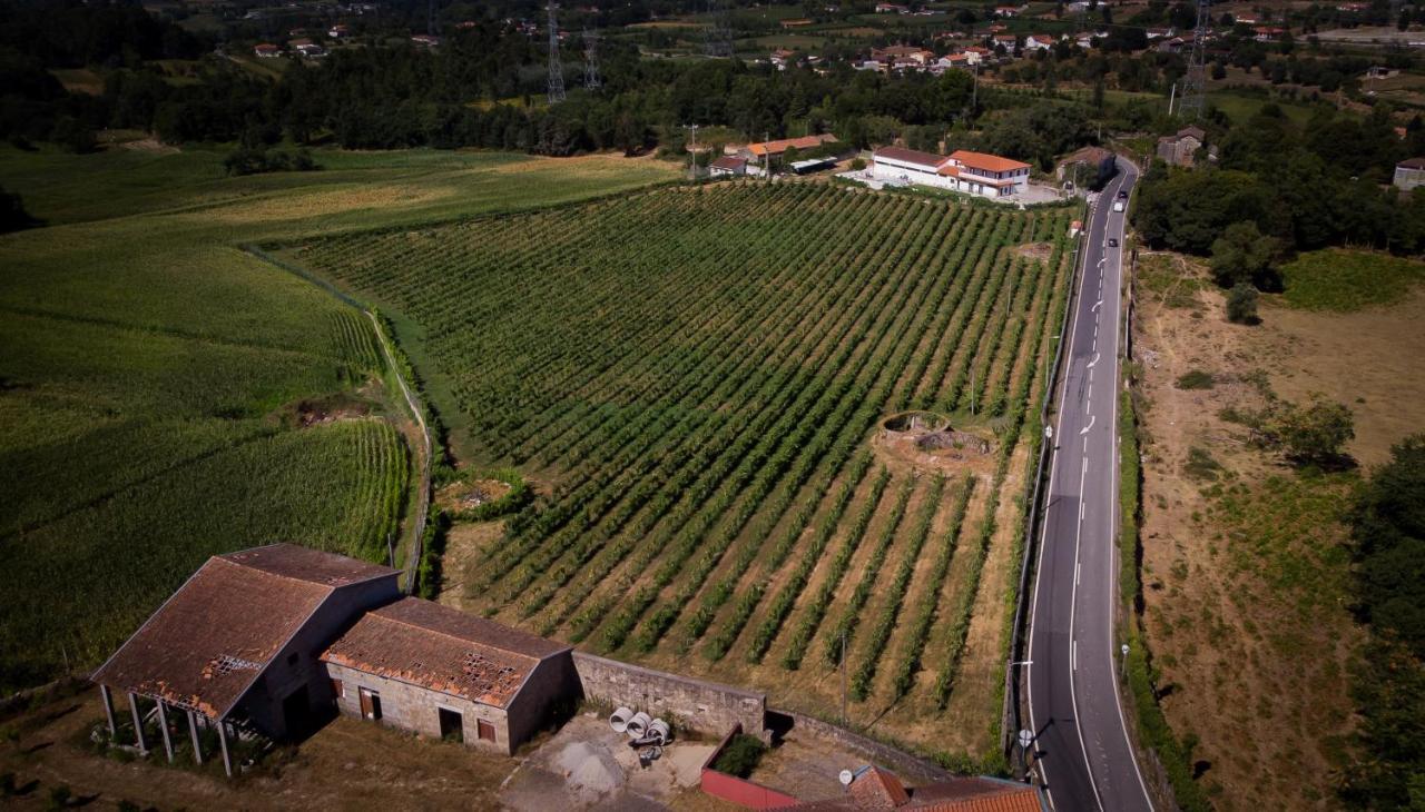 布拉加Quinta Santa Lucrecia别墅 外观 照片