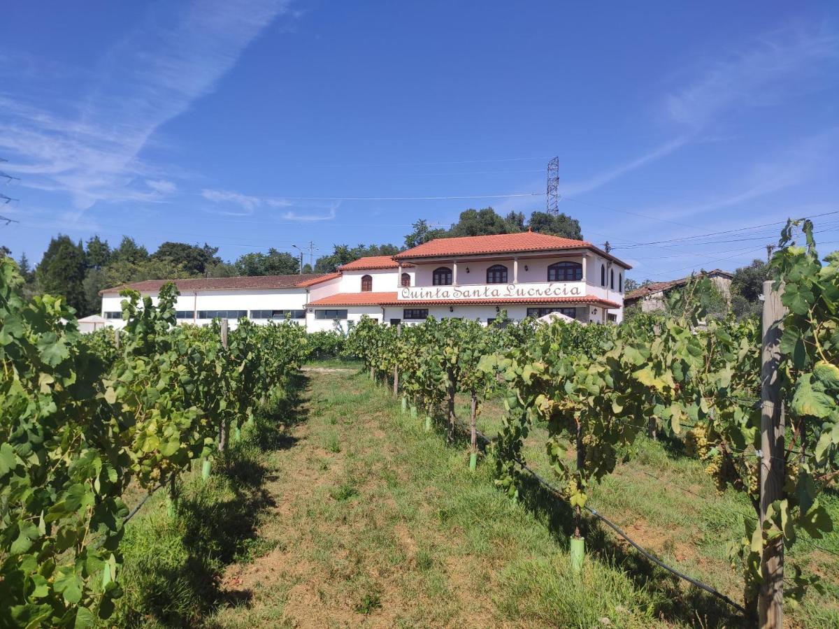 布拉加Quinta Santa Lucrecia别墅 外观 照片