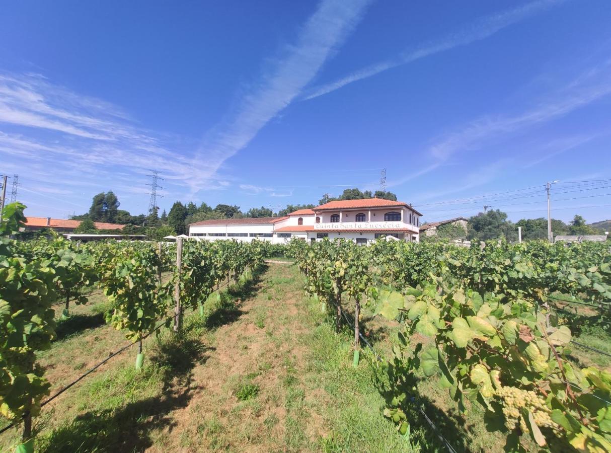 布拉加Quinta Santa Lucrecia别墅 外观 照片