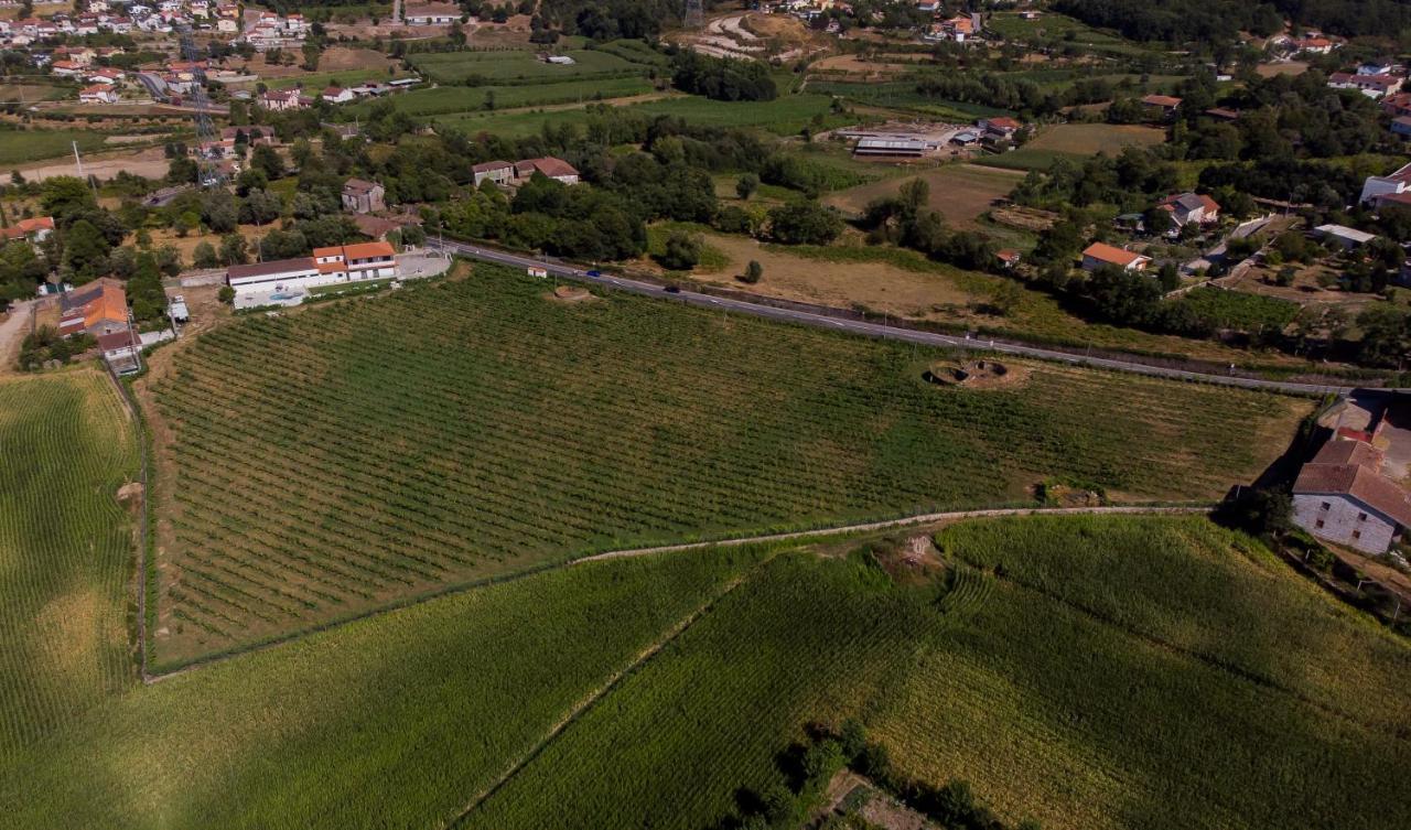 布拉加Quinta Santa Lucrecia别墅 外观 照片